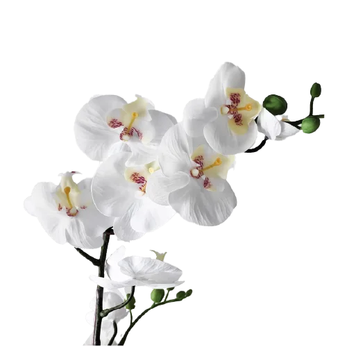 Orquídea artificial dentro de la categoría flores artificiales.