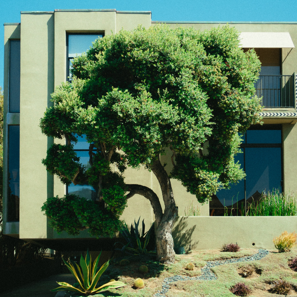 Un árbol artificial grande preside el jardín de una casa de tonos verdes de dos plantas. 