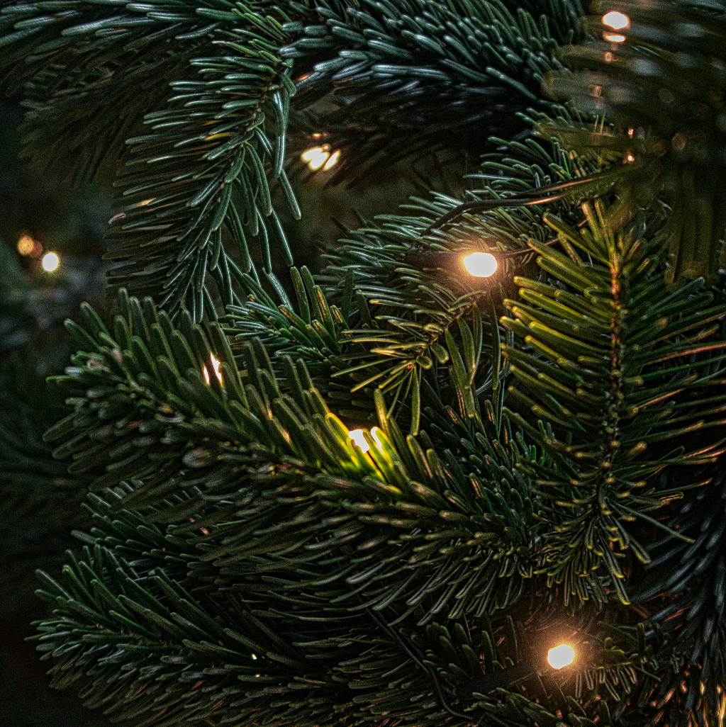 Primer plano de una hoja de un árbol no natural festivo con luces.