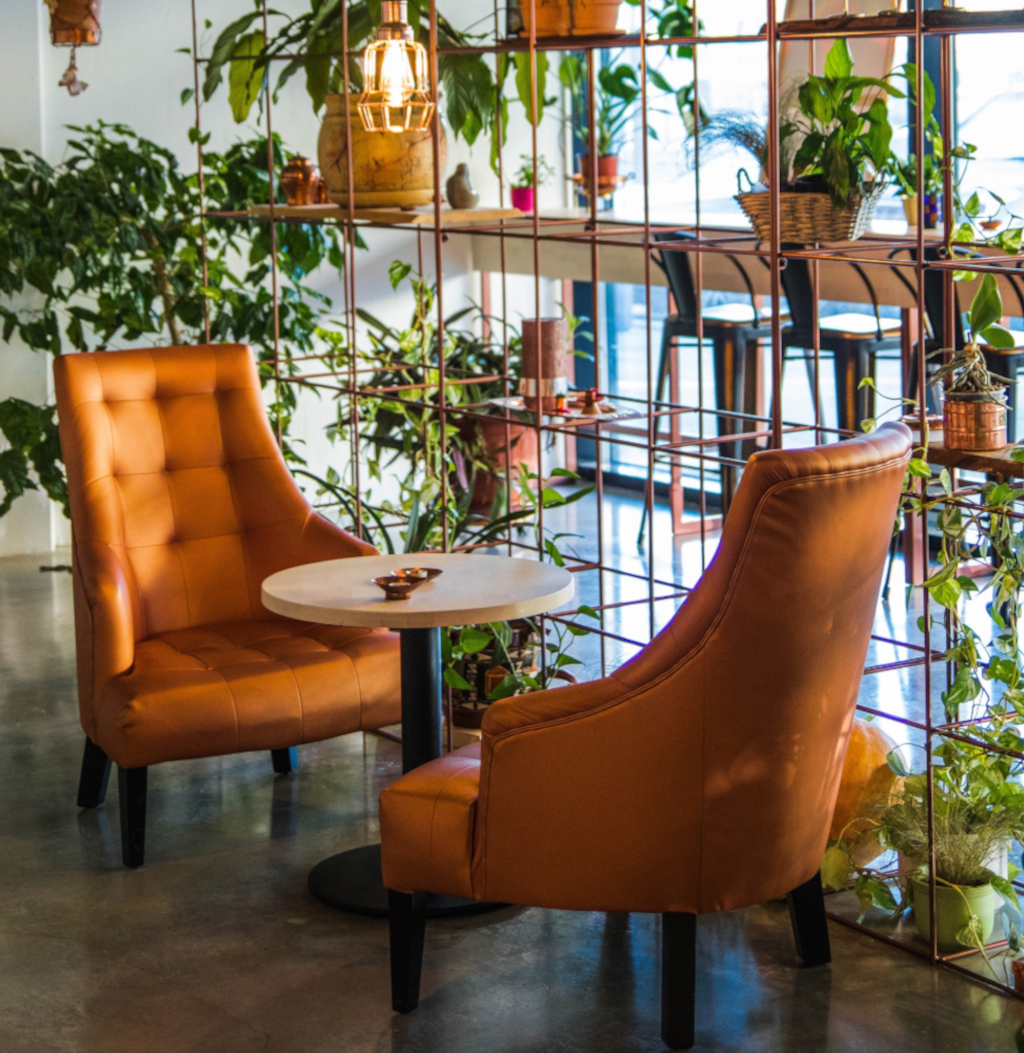 Cafetería donde se observa una mesa y dos sillones con muchas plantas artificiales pequeñas decorativas. 